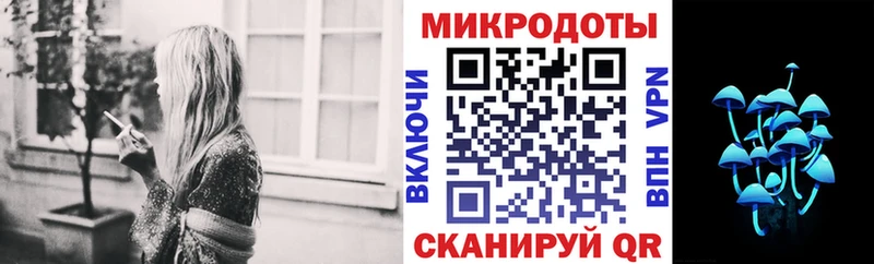 Псилоцибиновые грибы Psilocybine cubensis  Балашов 